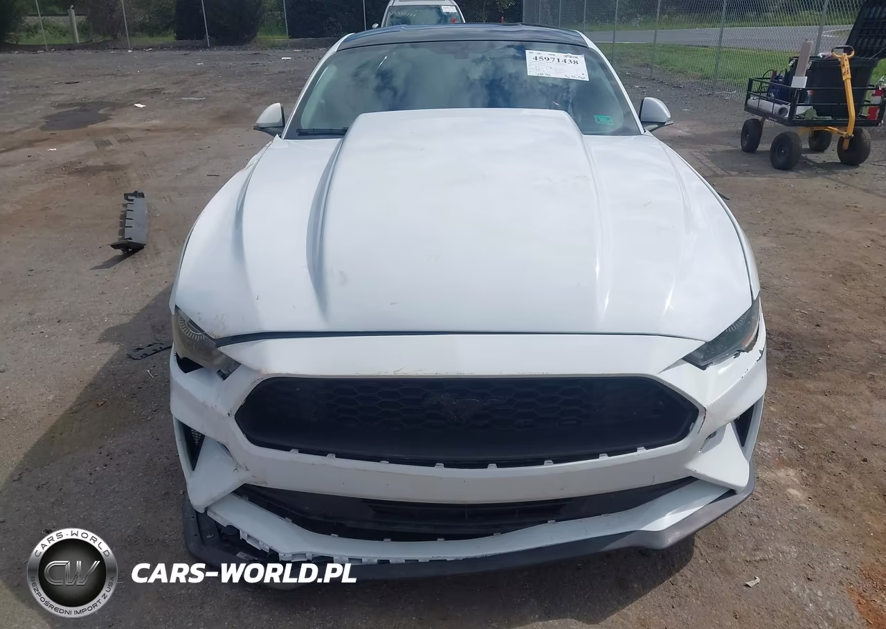 2019 Ford Mustang Gt Premium VIN:1FA6P8CF7K5134651 - 6