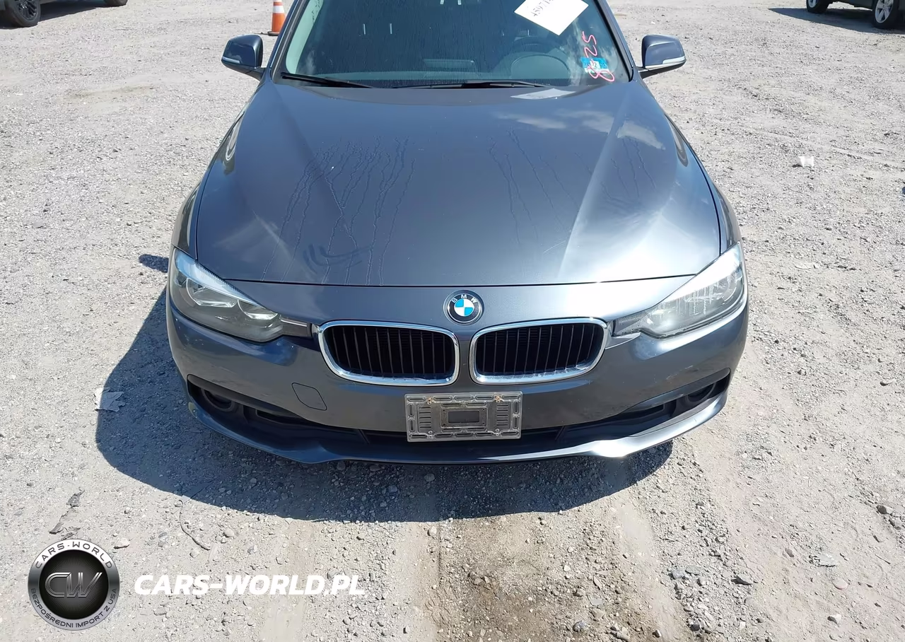 2016 BMW 320I xDrive VIN:WBA8E5G58GNT93081 - 12