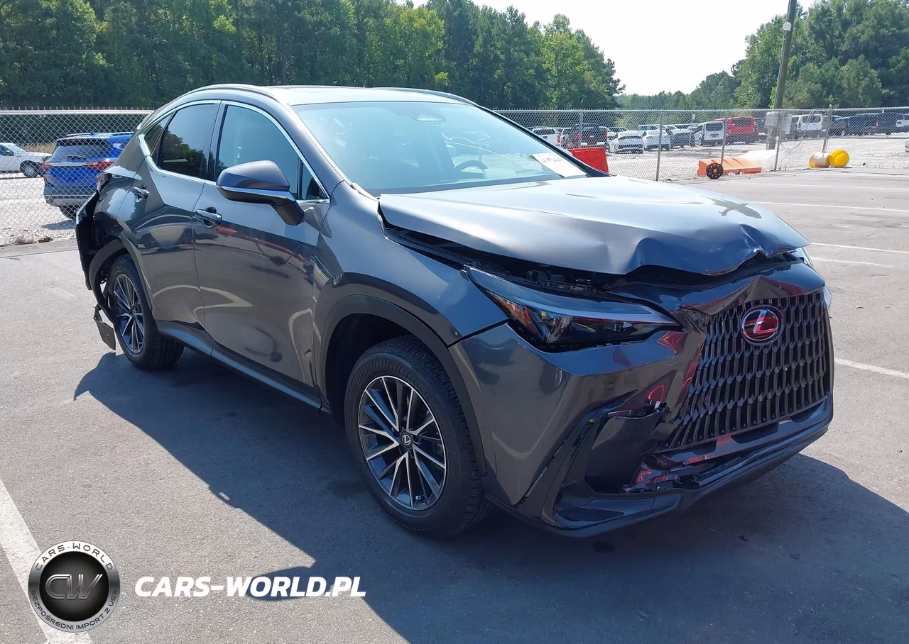 2026 Lexus Nx 350 VIN:2T2AGCEZ8TC106839 - 1