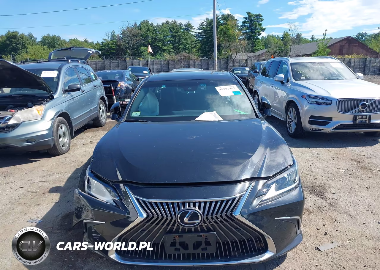 2021 Lexus Es 350 VIN:58ADZ1B10MU105613 - 11