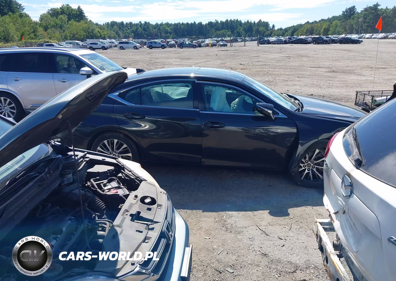 2021 Lexus Es 350 VIN:58ADZ1B10MU105613 - 12