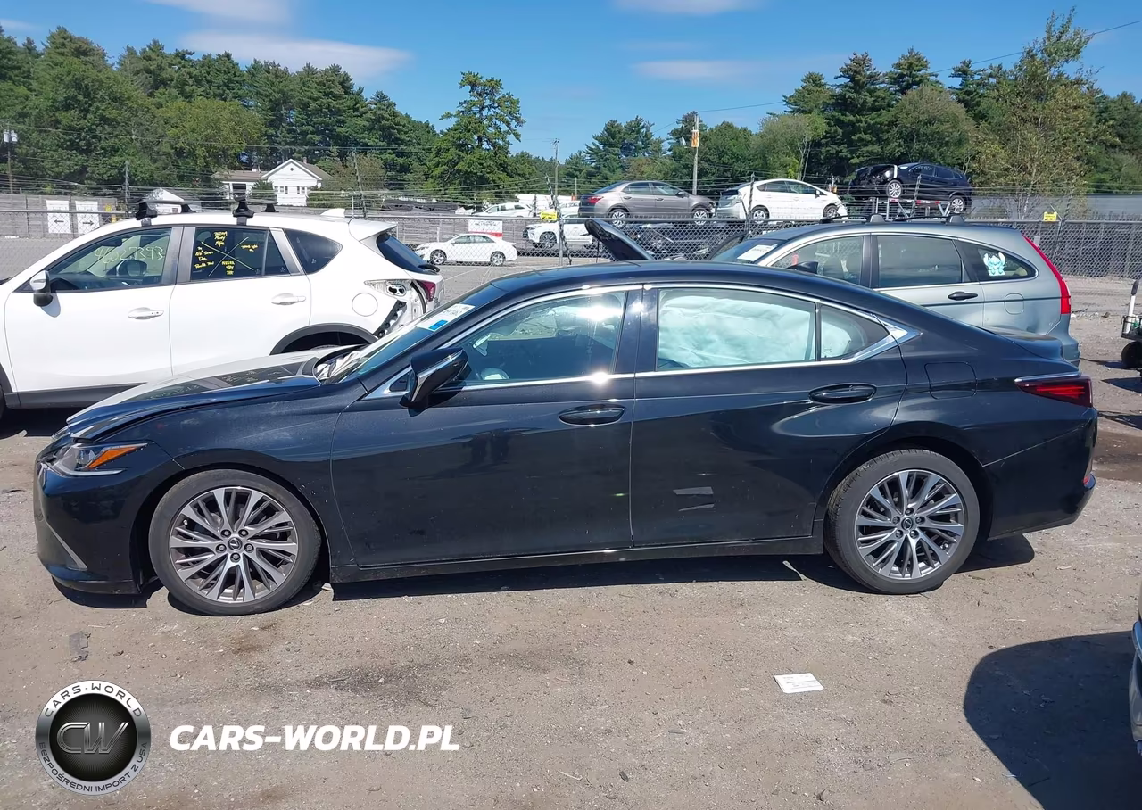 2021 Lexus Es 350 VIN:58ADZ1B10MU105613 - 13