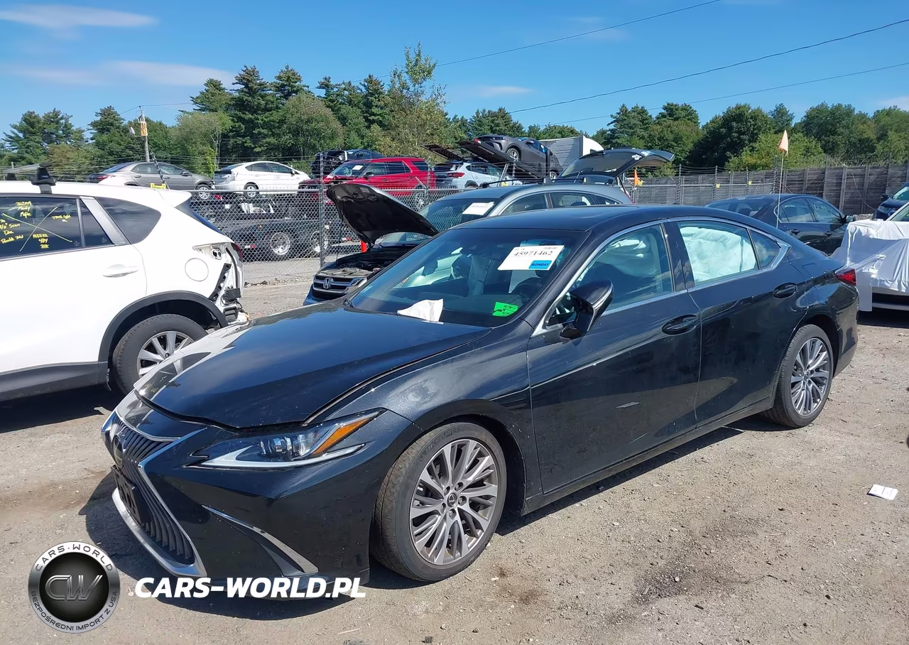 2021 Lexus Es 350 VIN:58ADZ1B10MU105613 - 2