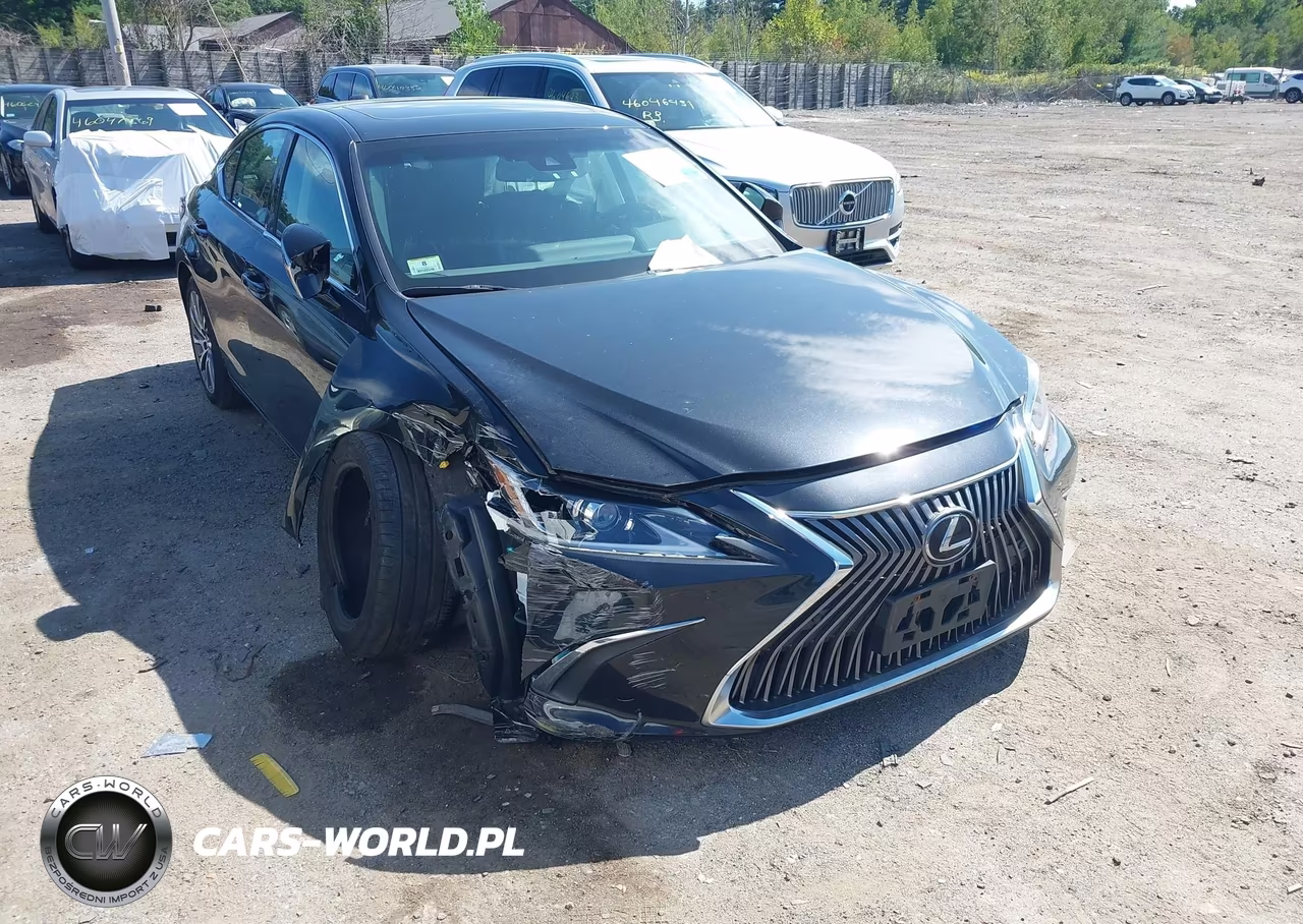 2021 Lexus Es 350 VIN:58ADZ1B10MU105613 - 6