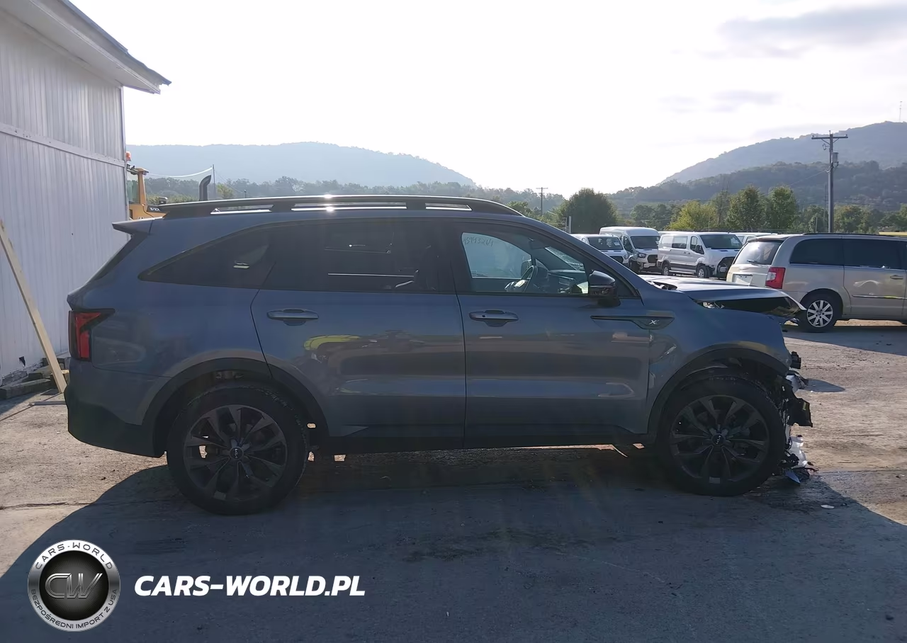 2023 Kia Sorento X-Line Ex VIN:5XYRHDLF9PG189548 - 13