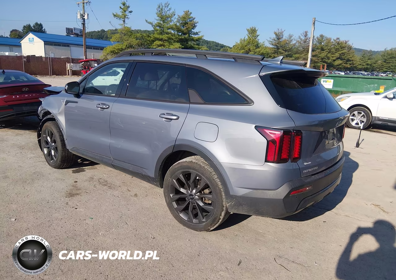 2023 Kia Sorento X-Line Ex VIN:5XYRHDLF9PG189548 - 3