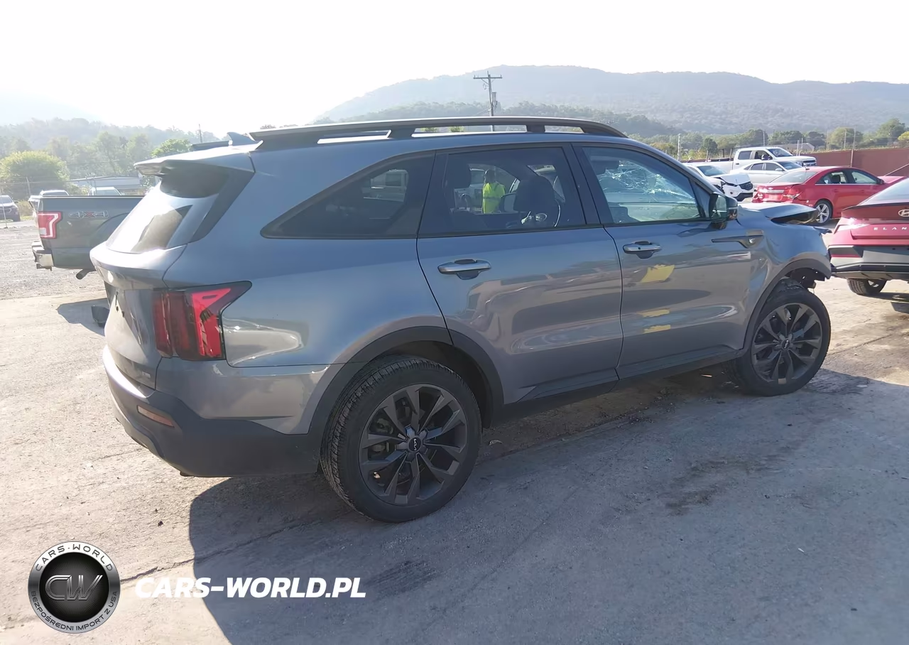 2023 Kia Sorento X-Line Ex VIN:5XYRHDLF9PG189548 - 4