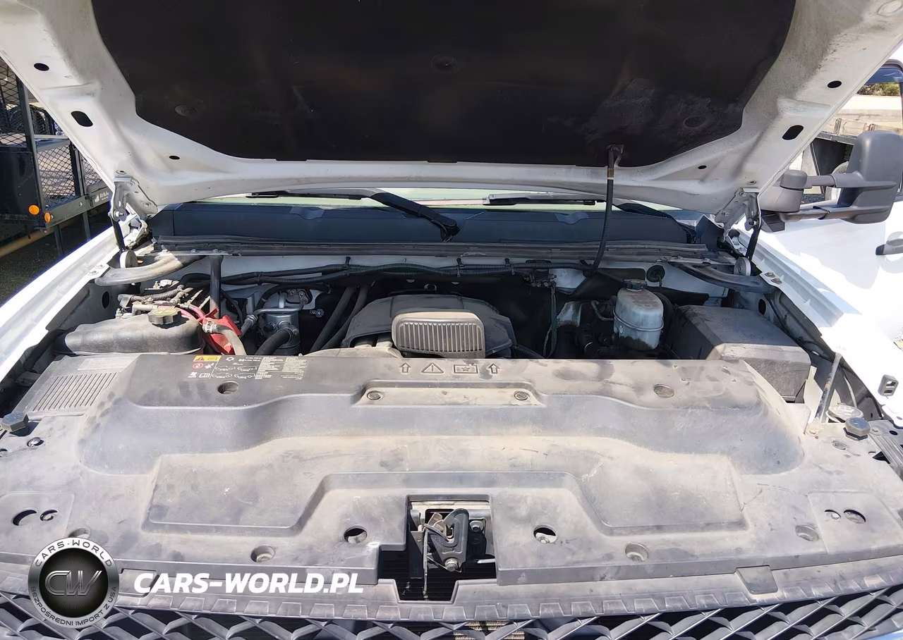 2013 Chevrolet Silverado 3500Hd Chassis Work Truck VIN:1GB4KZCG9DF106253 - 9