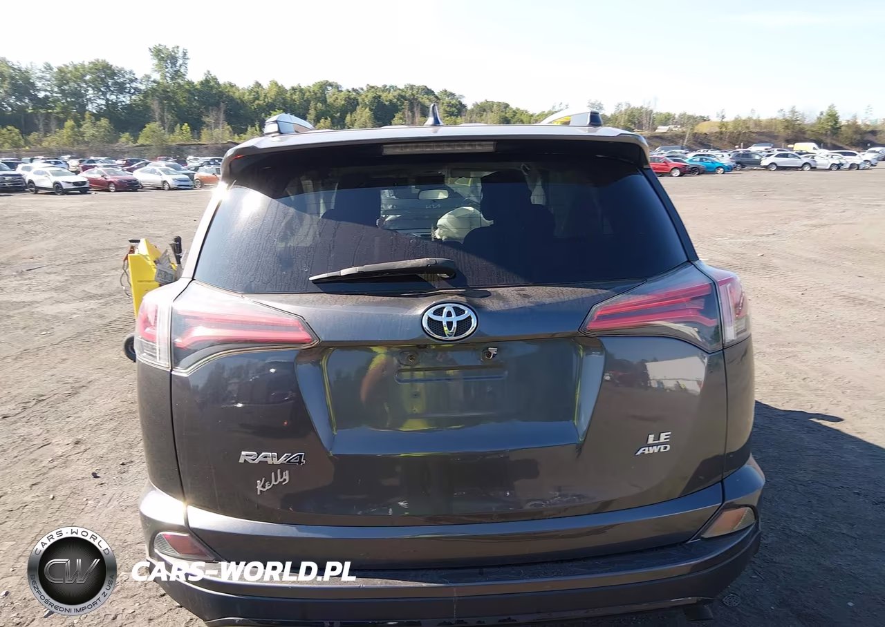 2017 Toyota Rav4 Le VIN:2T3BFREV9HW563006 - 16