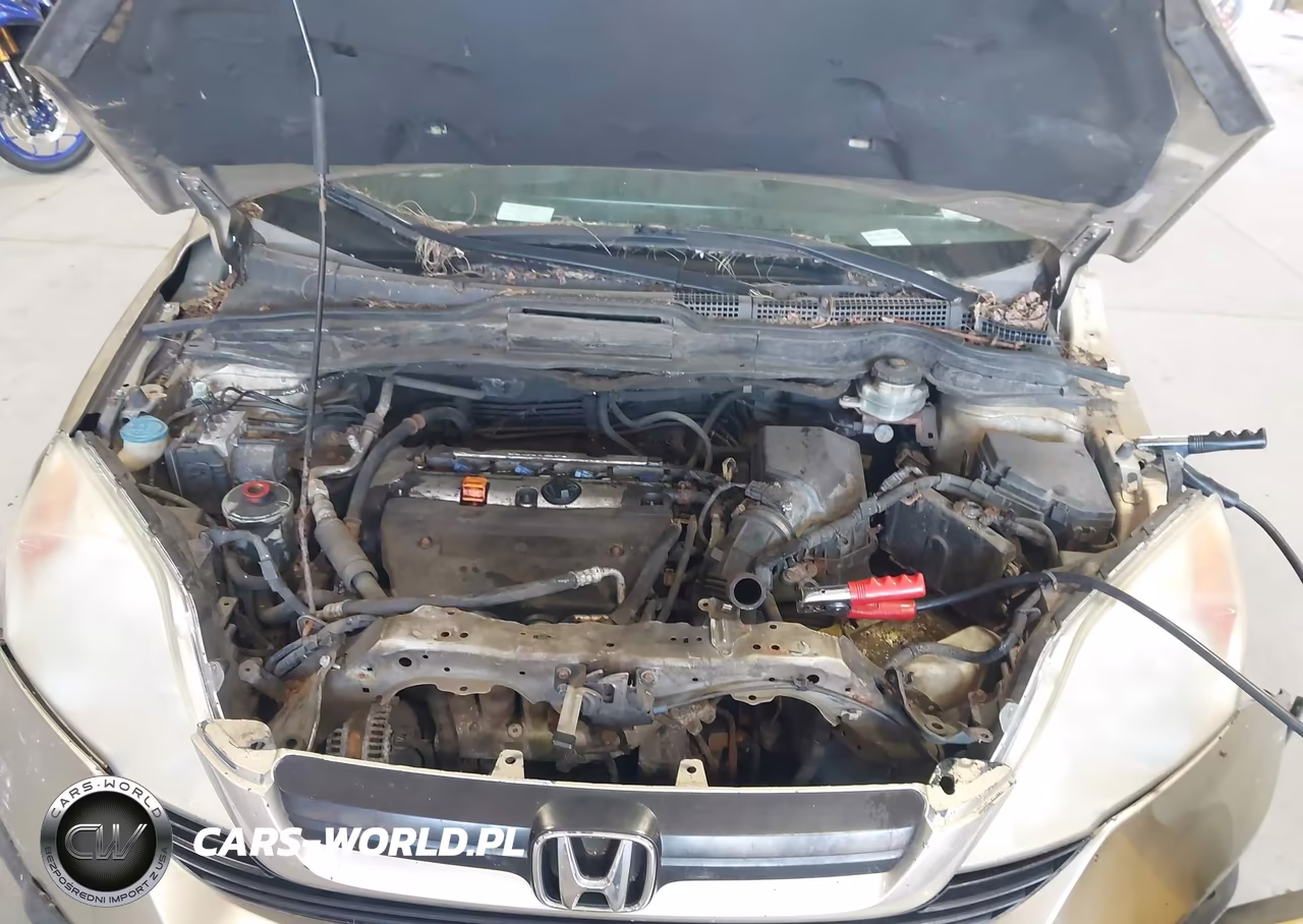 2009 Honda Cr-V Lx VIN:5J6RE483X9L058394 - 10