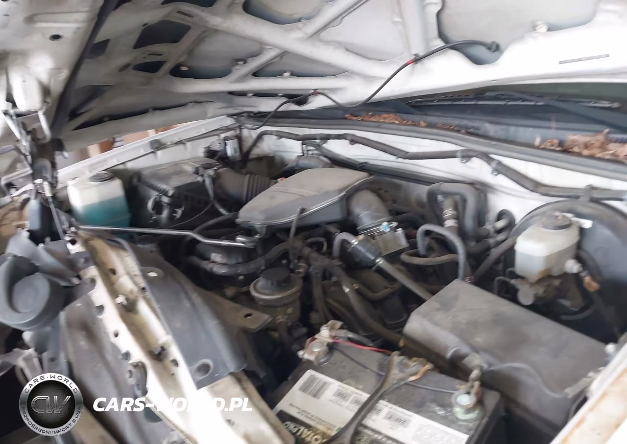 2007 Toyota Tacoma VIN:5TENX22N77Z406986 - 10