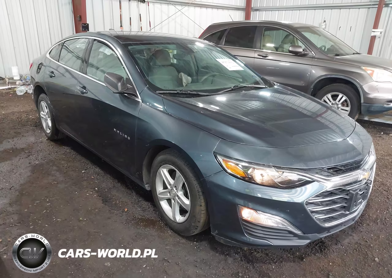 2019 Chevrolet Malibu 1Fl