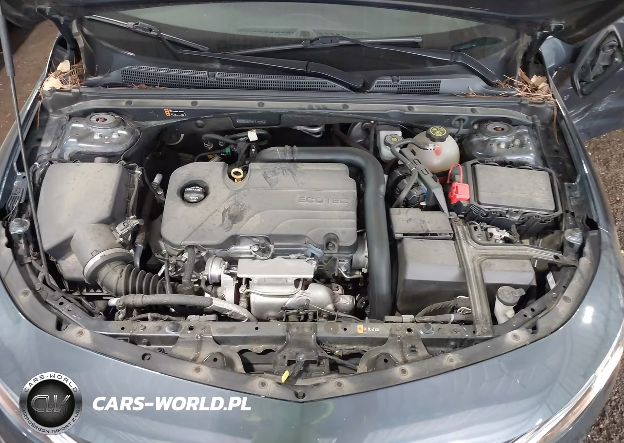 2019 Chevrolet Malibu 1Fl VIN:1G1ZC5ST4KF171216 - 10