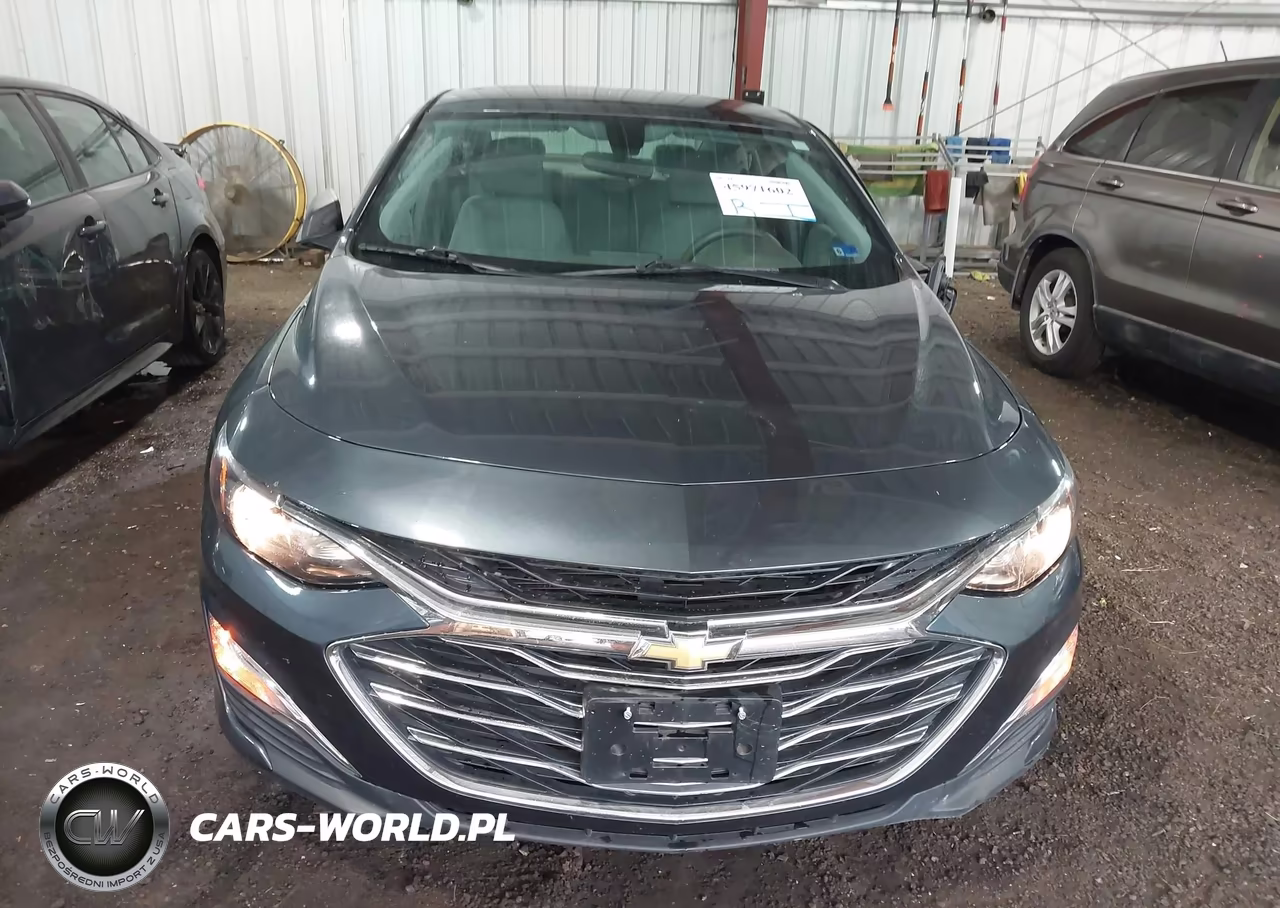 2019 Chevrolet Malibu 1Fl VIN:1G1ZC5ST4KF171216 - 12