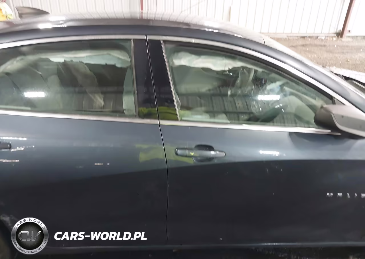 2019 Chevrolet Malibu 1Fl VIN:1G1ZC5ST4KF171216 - 13
