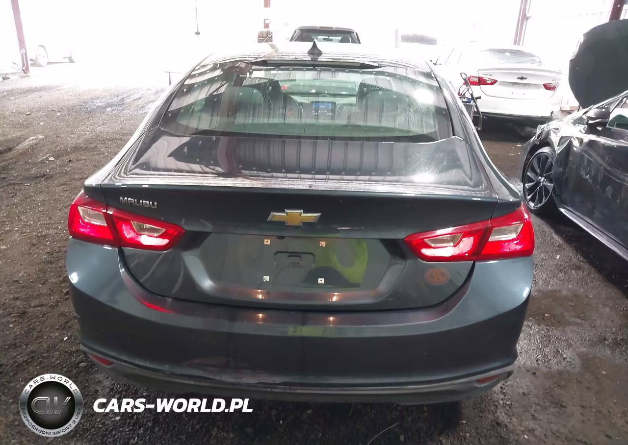 2019 Chevrolet Malibu 1Fl VIN:1G1ZC5ST4KF171216 - 16