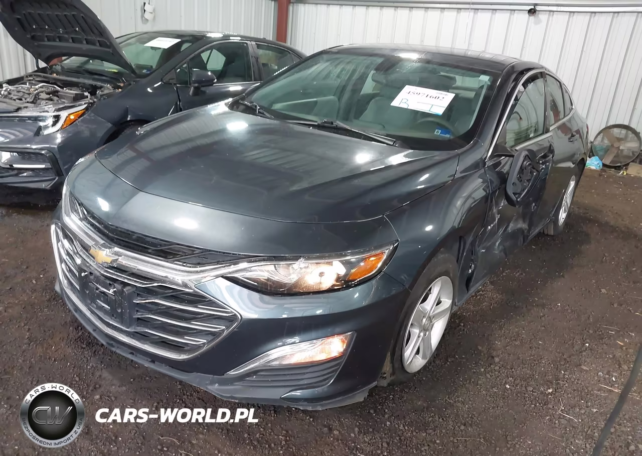 2019 Chevrolet Malibu 1Fl VIN:1G1ZC5ST4KF171216 - 2
