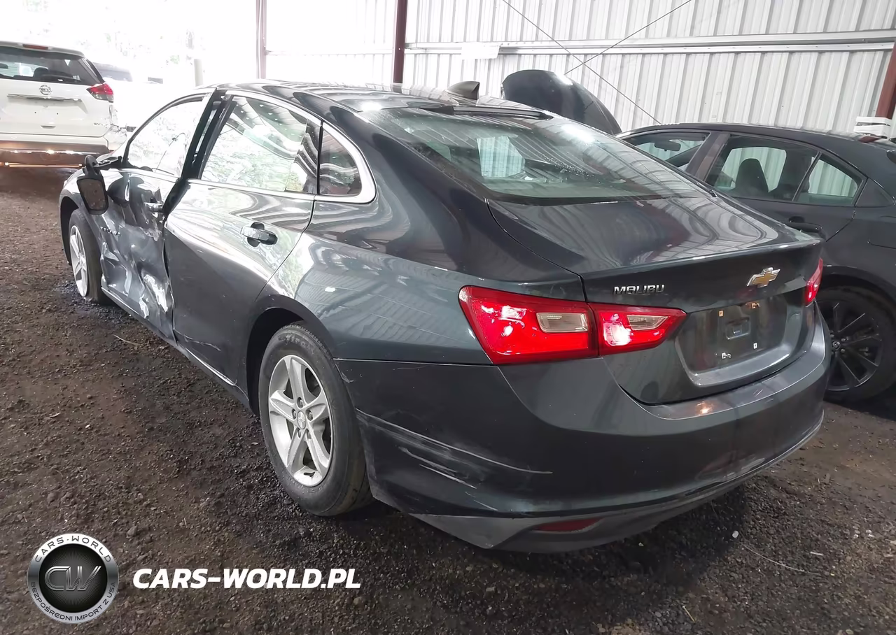 2019 Chevrolet Malibu 1Fl VIN:1G1ZC5ST4KF171216 - 3