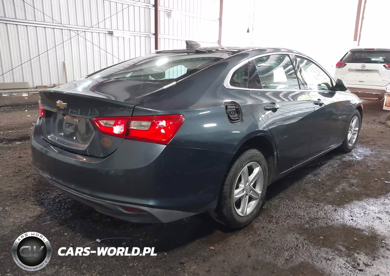 2019 Chevrolet Malibu 1Fl VIN:1G1ZC5ST4KF171216 - 4