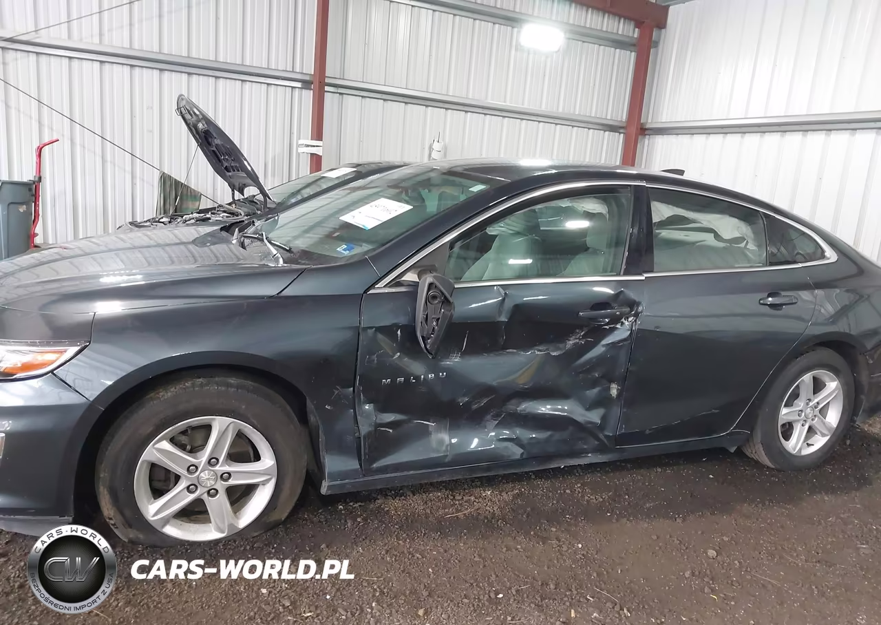 2019 Chevrolet Malibu 1Fl VIN:1G1ZC5ST4KF171216 - 6
