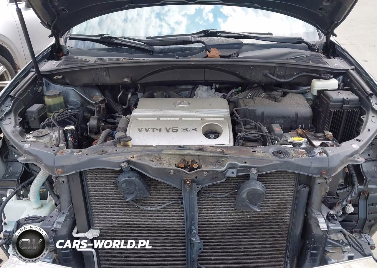 2005 Lexus Rx 330 VIN:2T2HA31UX5C041859 - 10