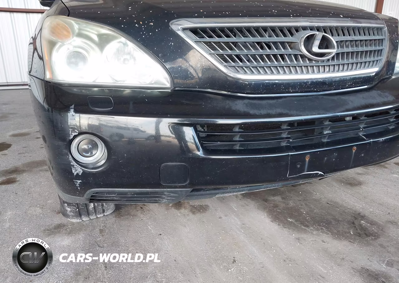 2006 Lexus Rx 400H VIN:JTJHW31U360046044 - 12