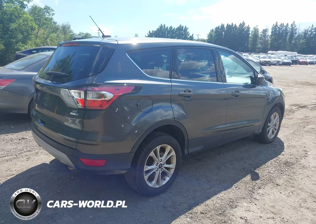 2017 Ford Escape Se VIN:1FMCU9GD9HUB25139 - 4