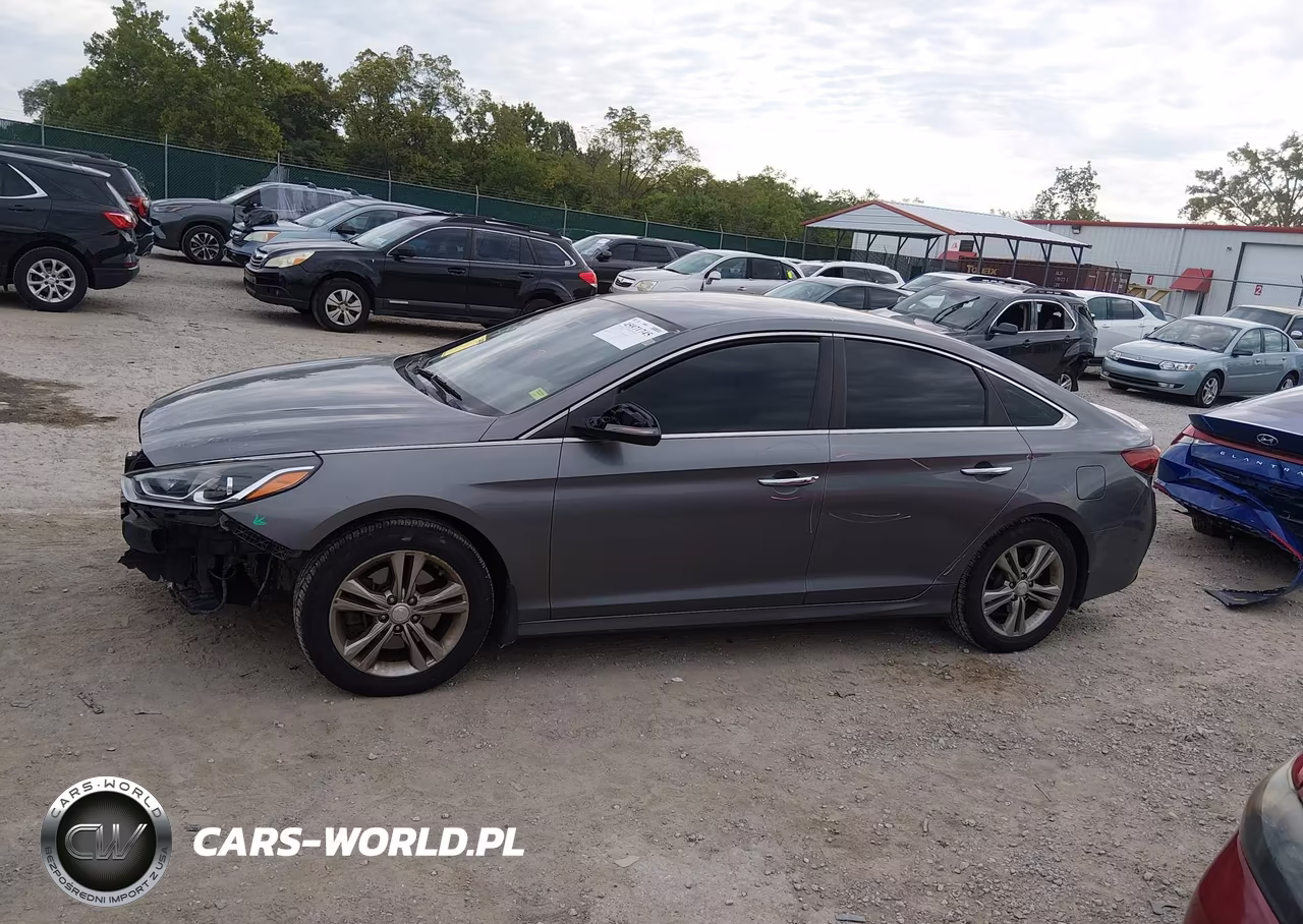 2019 Hyundai Sonata Sel VIN:5NPE34AF1KH729380 - 13