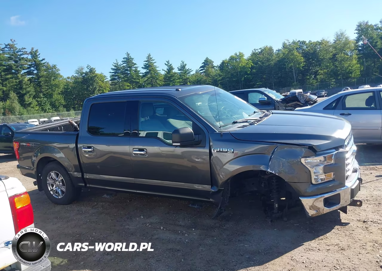 2017 Ford F-150 Xlt VIN:1FTEW1EF1HFA91568 - 14