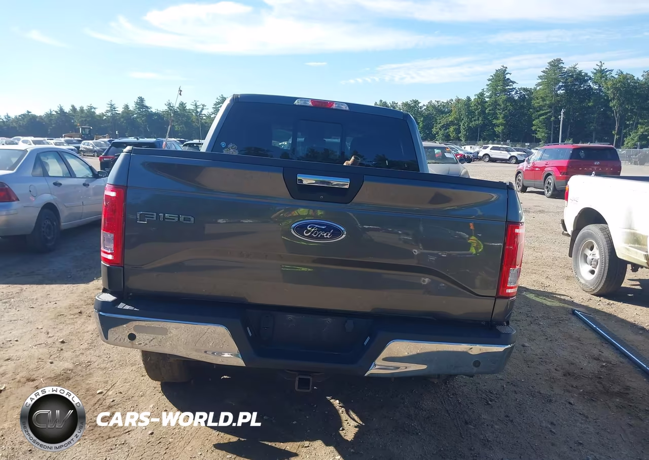 2017 Ford F-150 Xlt VIN:1FTEW1EF1HFA91568 - 17