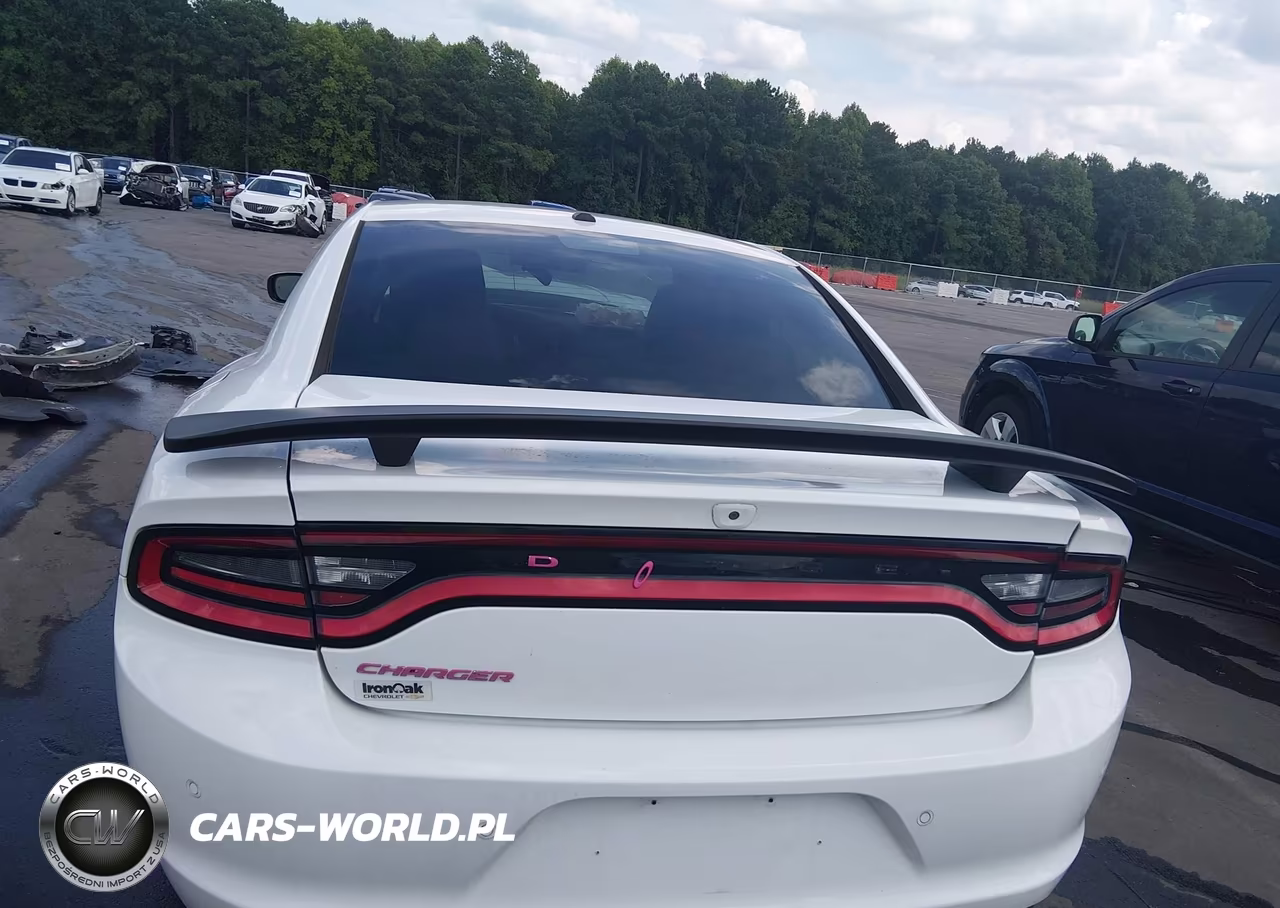 2019 Dodge Charger Sxt Rwd VIN:2C3CDXBG7KH643615 - 17