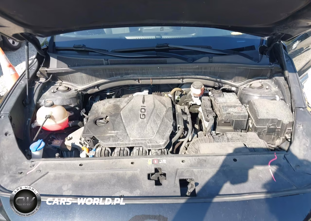 2021 Hyundai Santa Fe Sel VIN:5NMS6DAJ5MH338487 - 10