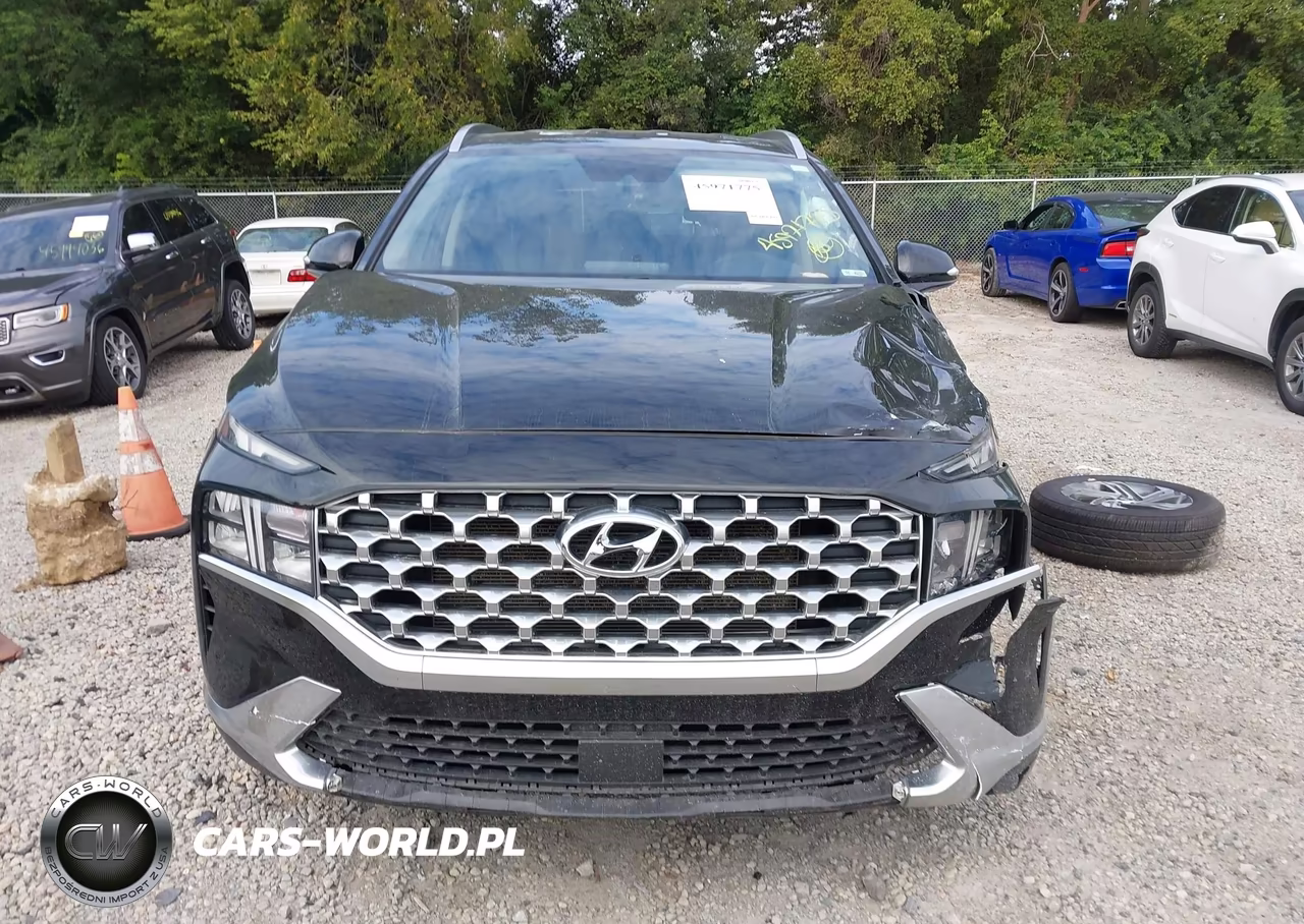 2021 Hyundai Santa Fe Sel VIN:5NMS6DAJ5MH338487 - 13
