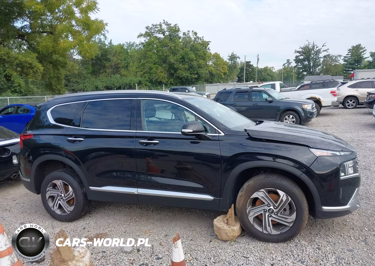 2021 Hyundai Santa Fe Sel VIN:5NMS6DAJ5MH338487 - 14