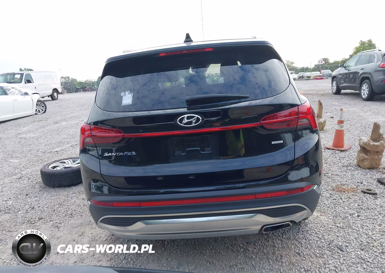 2021 Hyundai Santa Fe Sel VIN:5NMS6DAJ5MH338487 - 17