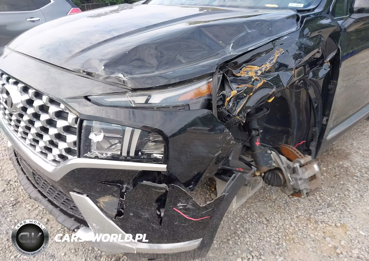 2021 Hyundai Santa Fe Sel VIN:5NMS6DAJ5MH338487 - 6
