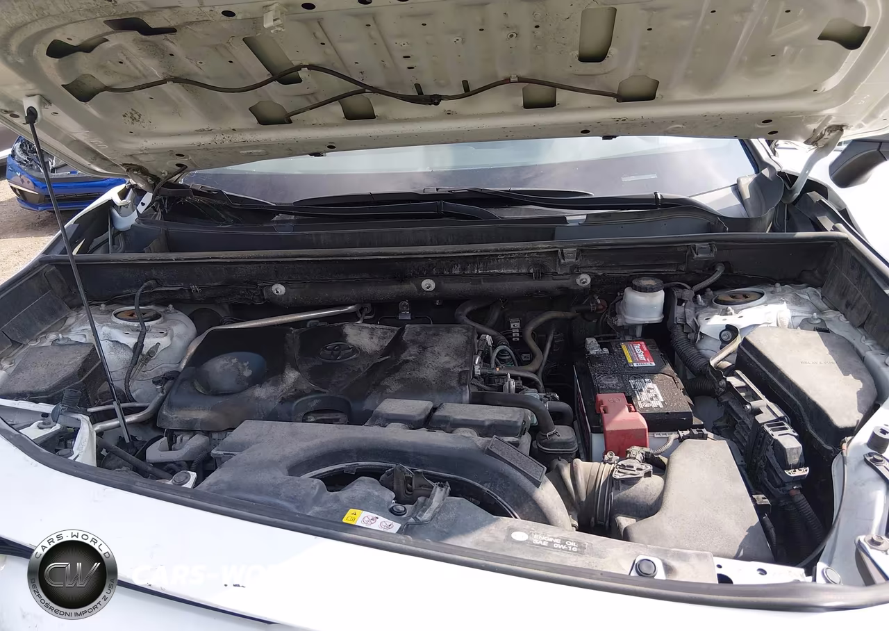 2019 Toyota Rav4 Le VIN:2T3H1RFV7KW023037 - 10