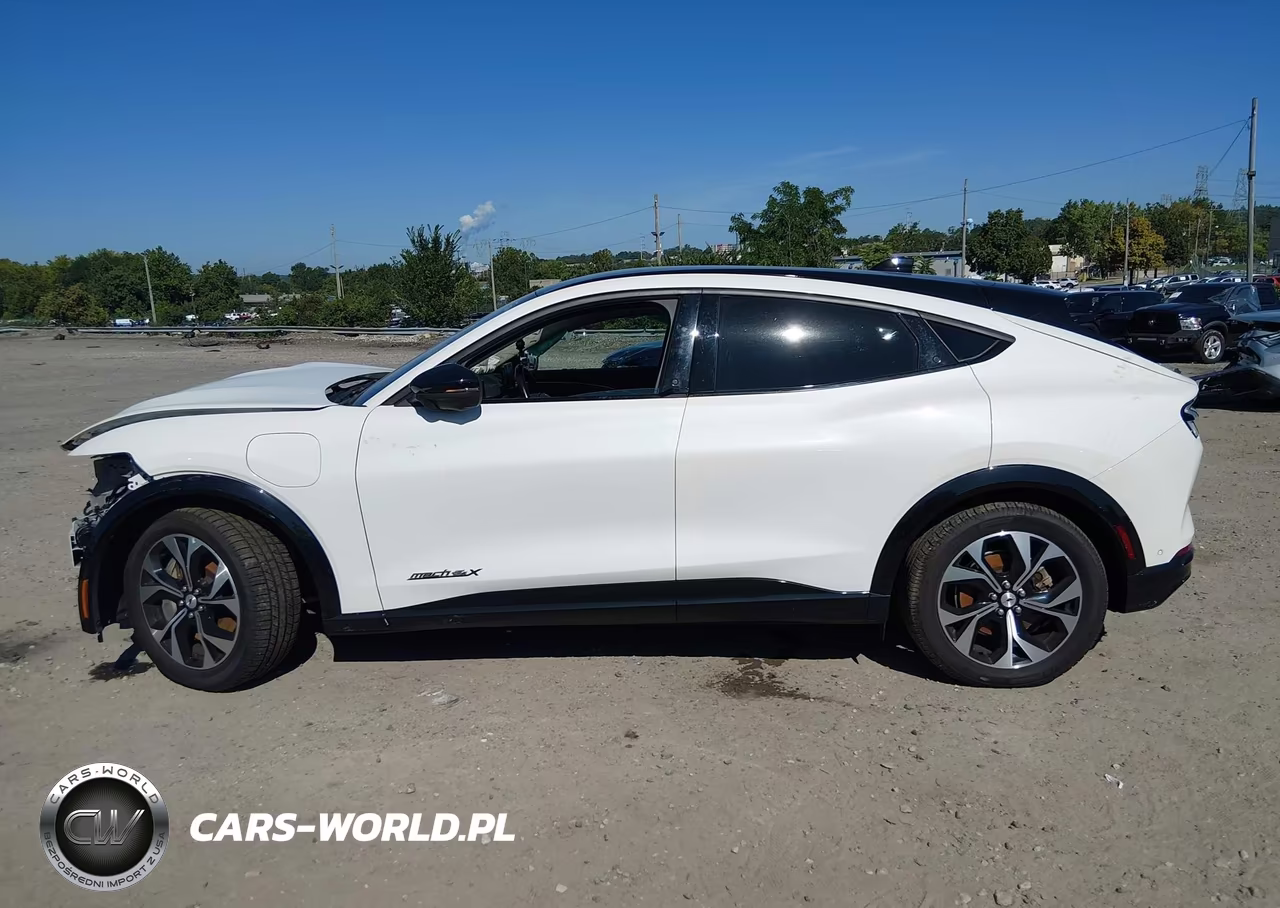 2023 Ford Mustang Mach-E Premium VIN:3FMTK3SU3PMA87940 - 14