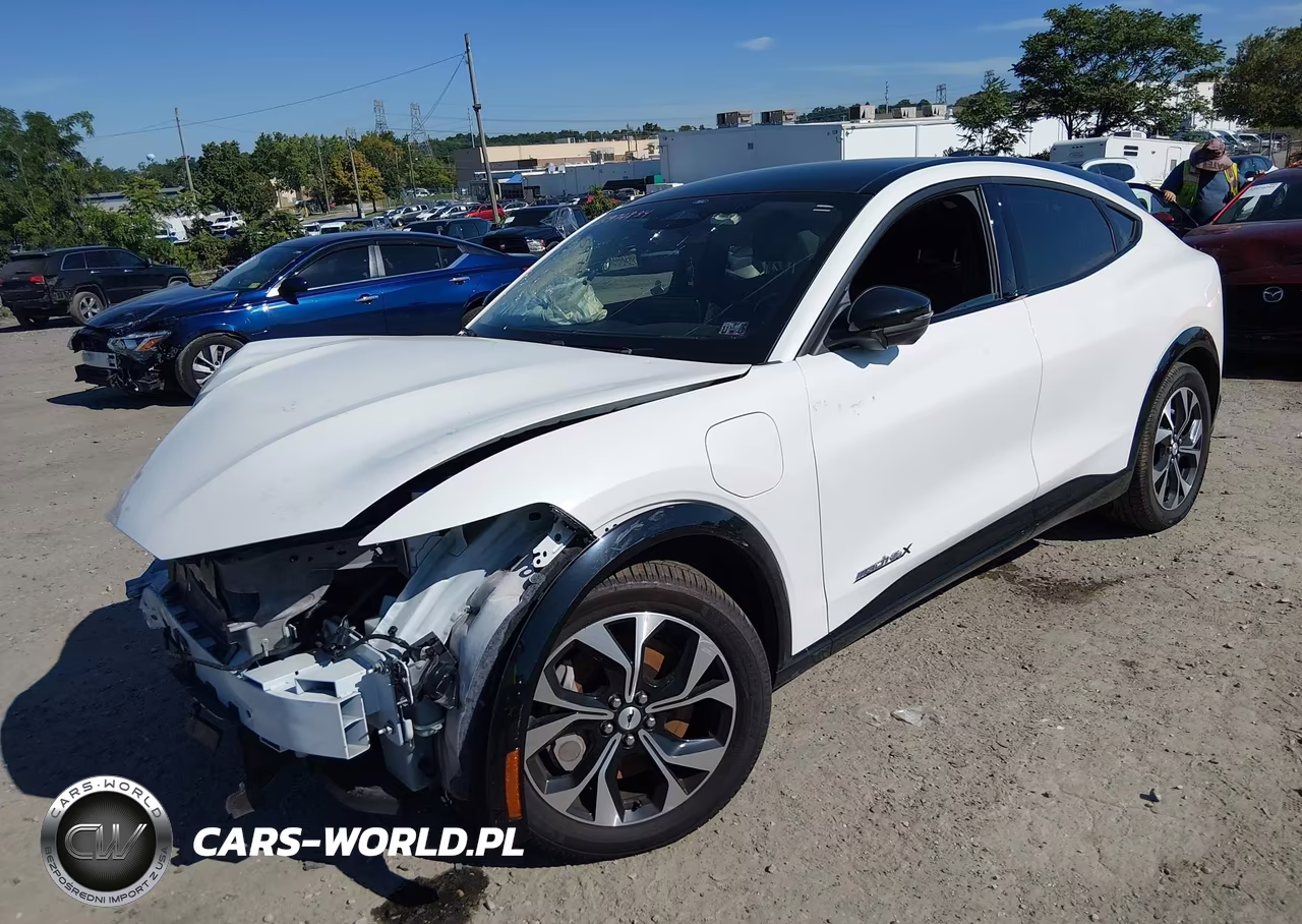 2023 Ford Mustang Mach-E Premium VIN:3FMTK3SU3PMA87940 - 2
