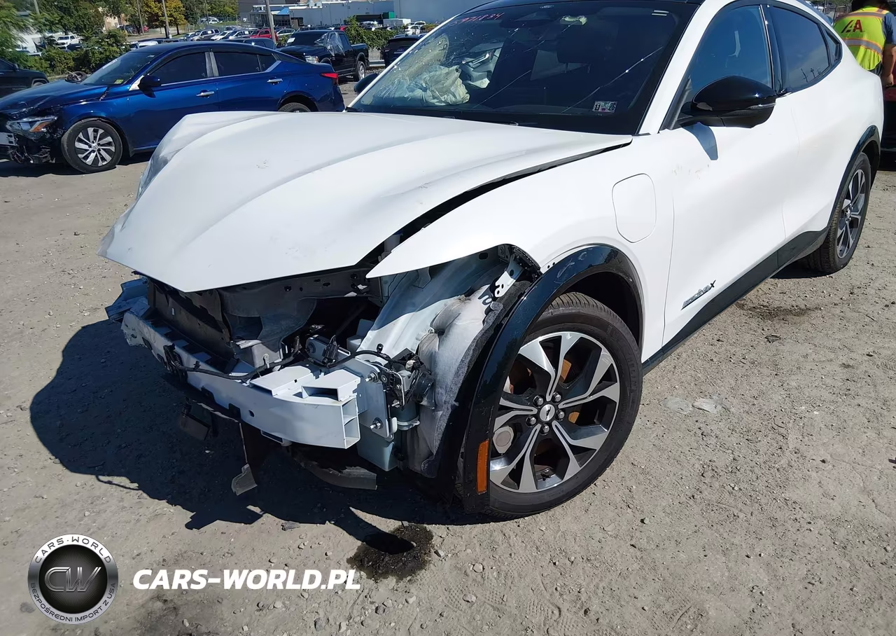 2023 Ford Mustang Mach-E Premium VIN:3FMTK3SU3PMA87940 - 20