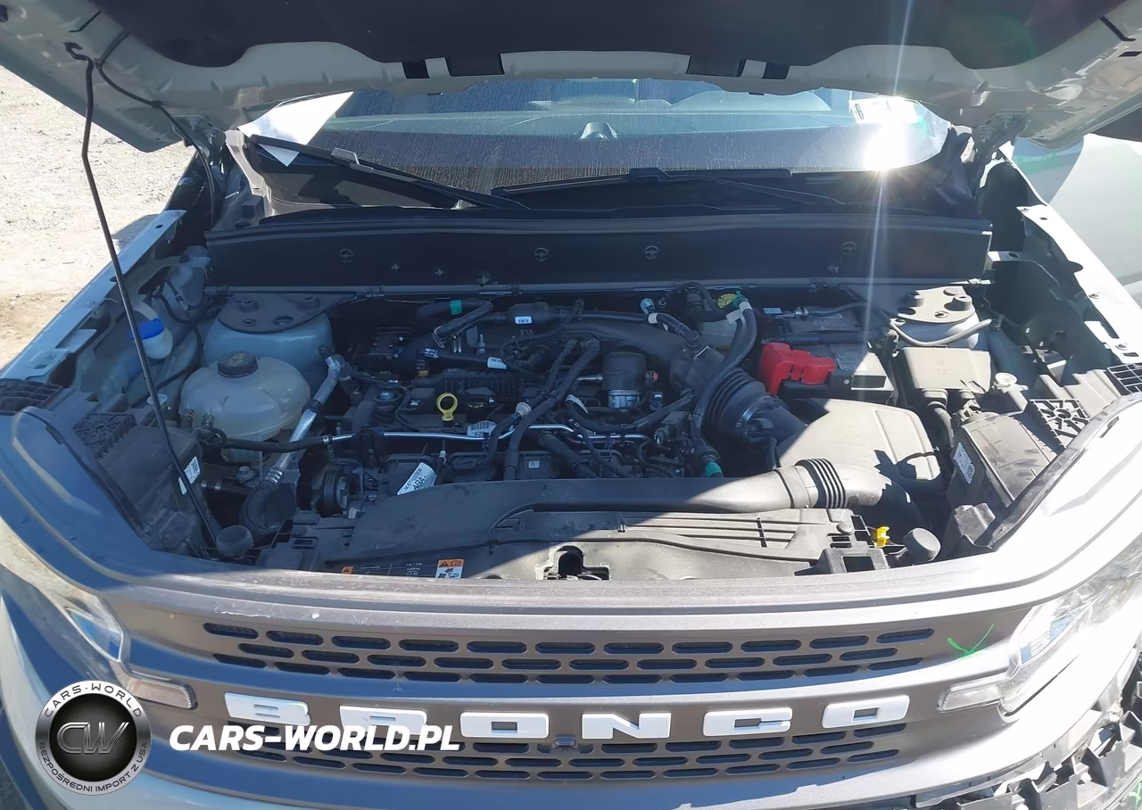 2024 Ford Bronco Sport Badlands VIN:3FMCR9D90RRE95017 - 10