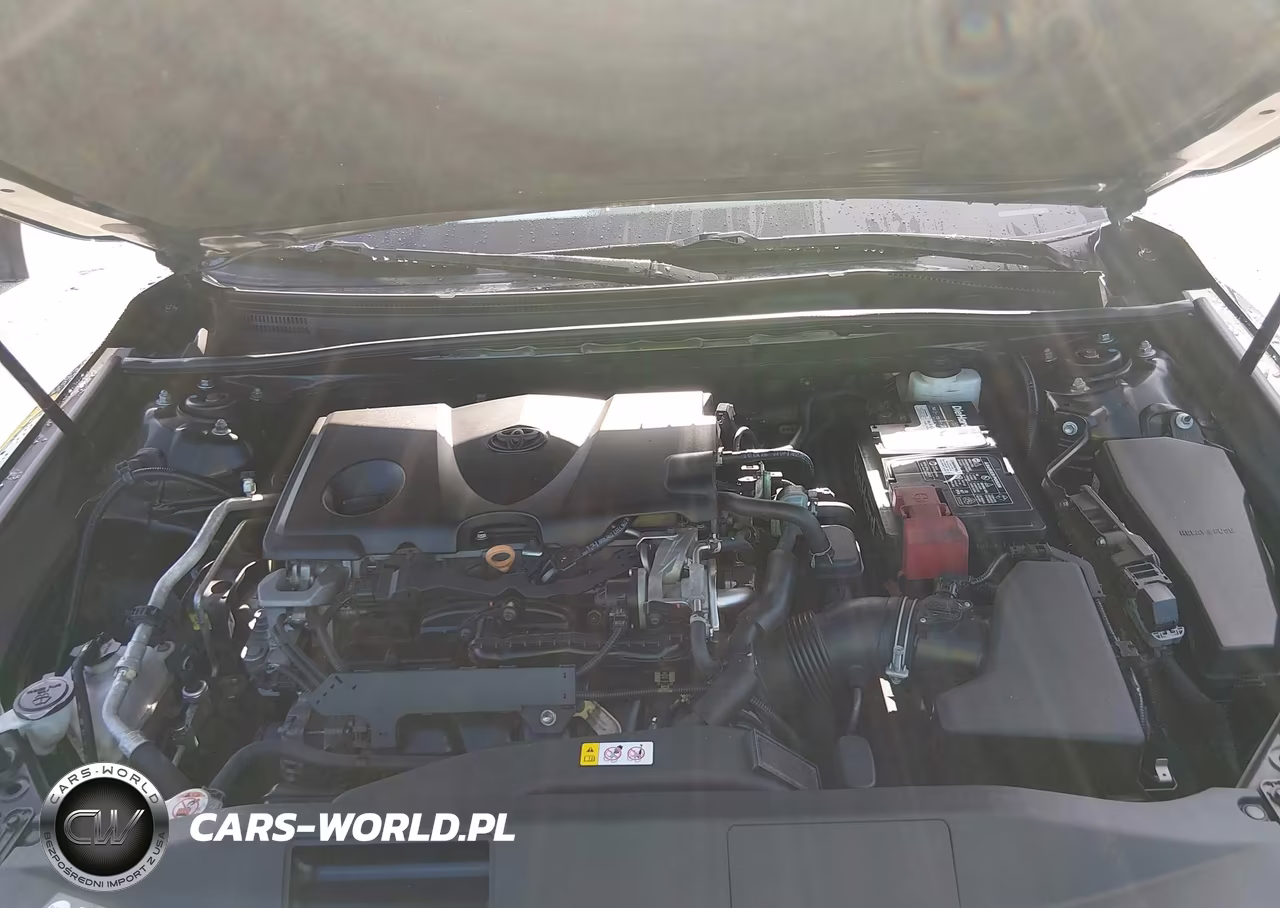 2019 Toyota Camry Se VIN:4T1B11HK5KU825217 - 10