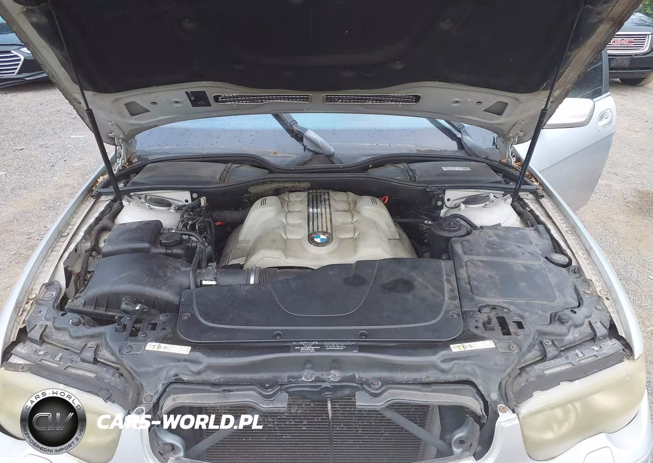 2003 BMW 745I VIN:WBAGL63473DP68088 - 10