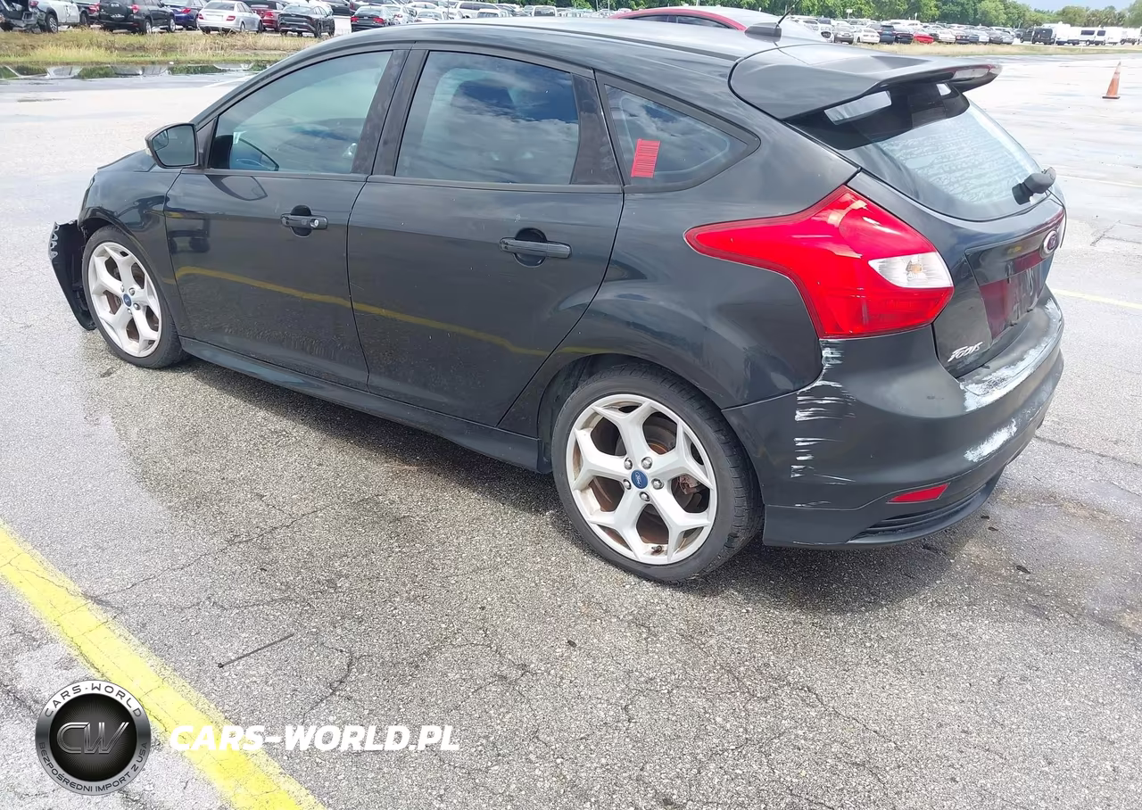 2013 Ford Focus St VIN:1FADP3L9XDL379463 - 13
