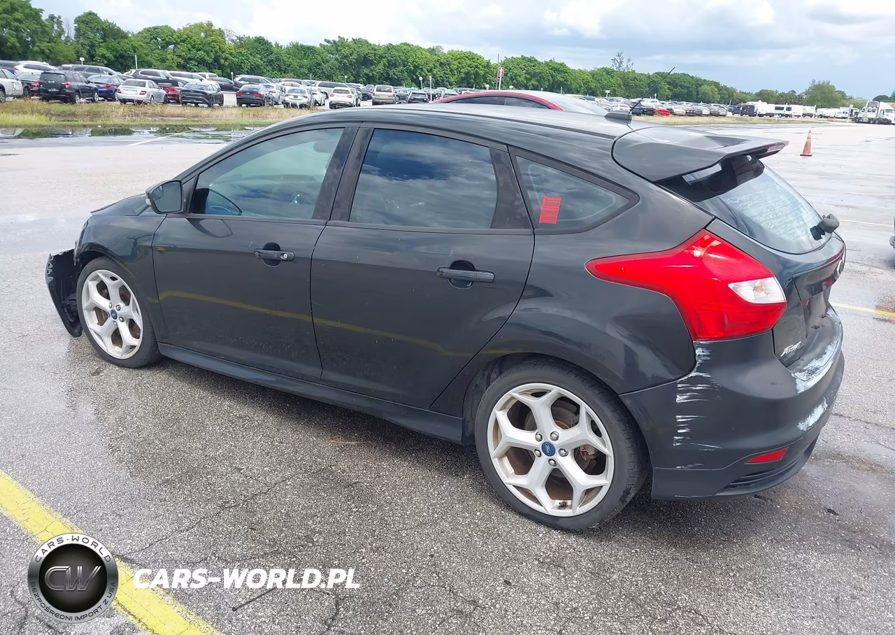 2013 Ford Focus St VIN:1FADP3L9XDL379463 - 3
