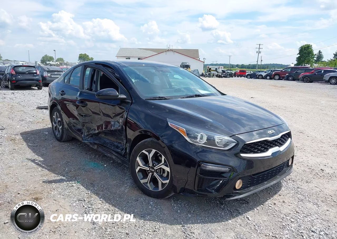 2019 Kia Forte Lxs