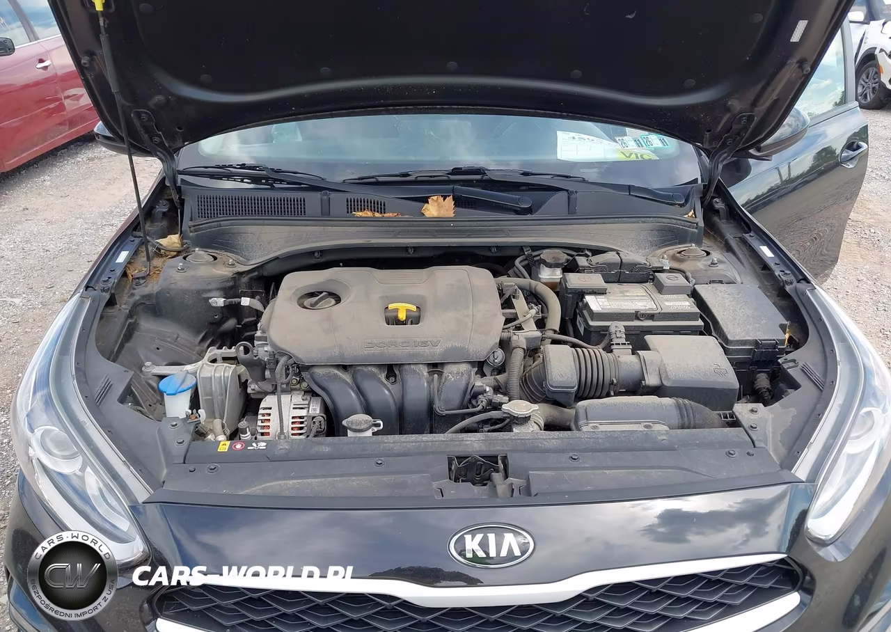 2019 Kia Forte Lxs VIN:3KPF24AD7KE125231 - 10