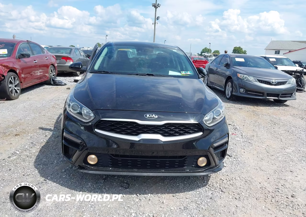 2019 Kia Forte Lxs VIN:3KPF24AD7KE125231 - 12