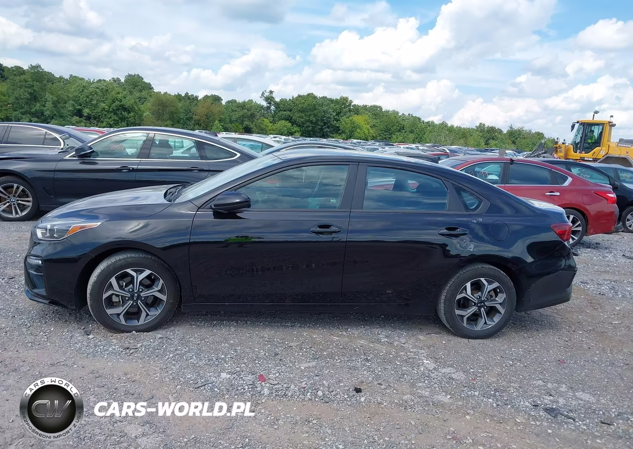 2019 Kia Forte Lxs VIN:3KPF24AD7KE125231 - 14