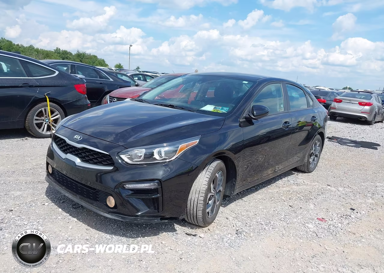 2019 Kia Forte Lxs VIN:3KPF24AD7KE125231 - 2